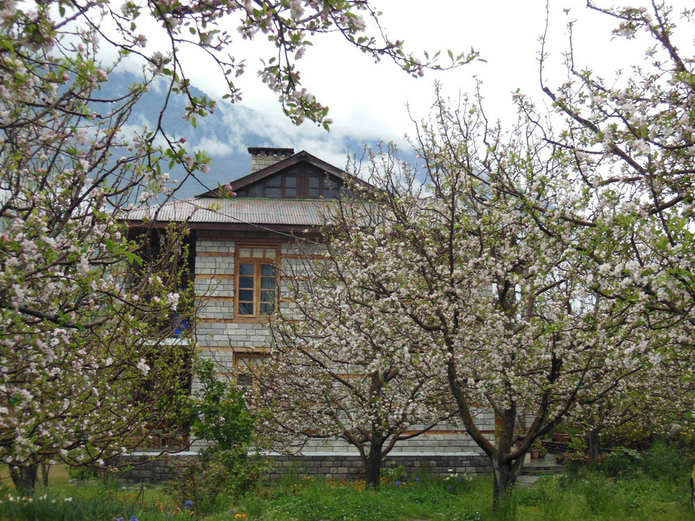 Apple Tree Luxury Cottage No.1 - Two Bedroom Drawing Dinning with Kitchen in Manali
