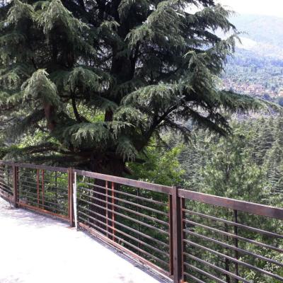 Forest Hill Top Cottage in Manali