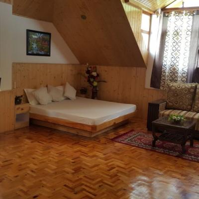 Apple Tree Premier Cottage No.4 - River View Cottage in Manali near Mall Road